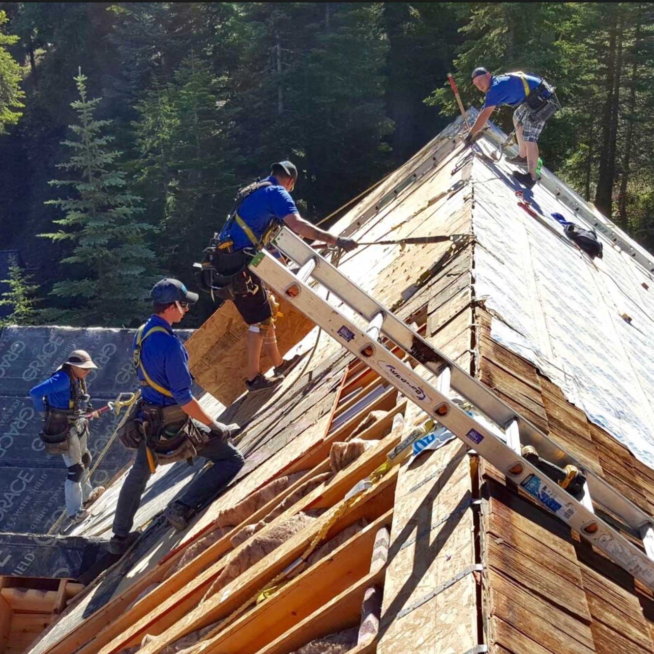 Roofer-101-Mills
